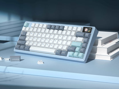 K75 Pro CNC Aluminum Mechanical Keyboard Hot Swap Switchs Flex Cuts PCB With PBT Keycaps